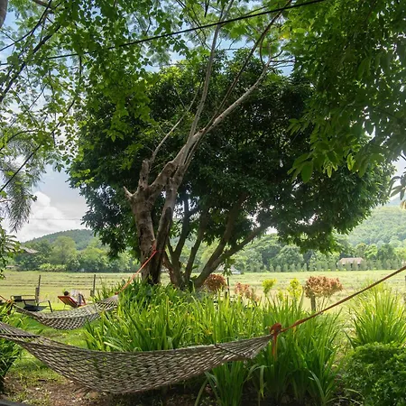 Butterfly Resort Hostel, Pai-2